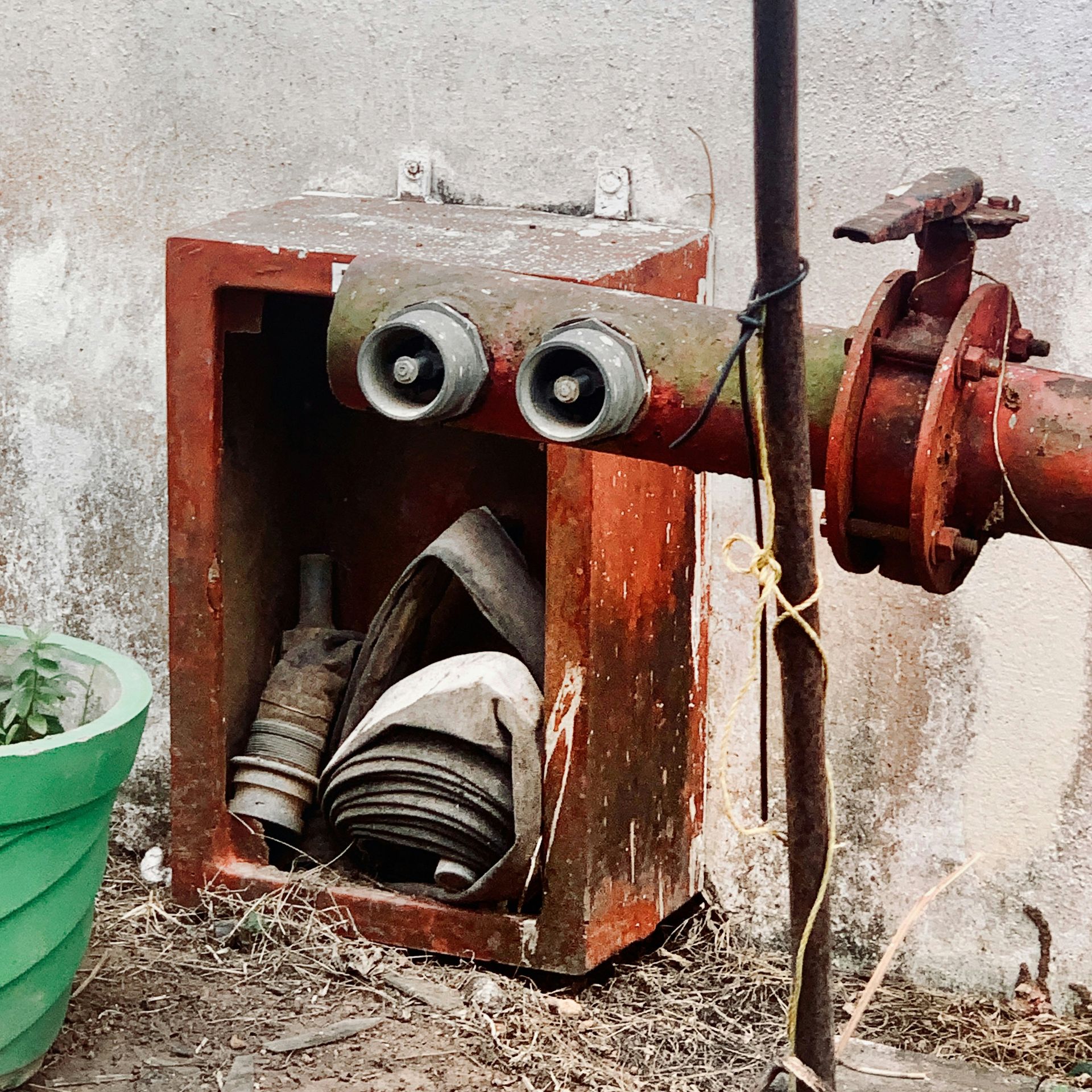 a red fire hydrant sitting next to a green bucket